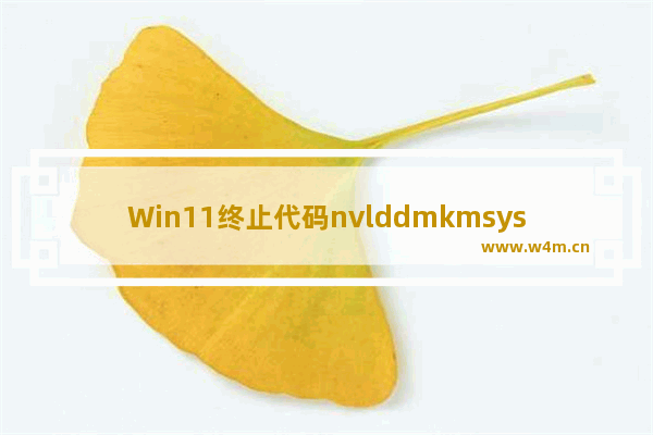 Win11终止代码nvlddmkmsys蓝屏解决方法