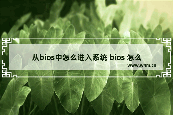 从bios中怎么进入系统 bios 怎么进入