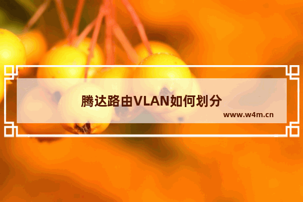 腾达路由VLAN如何划分