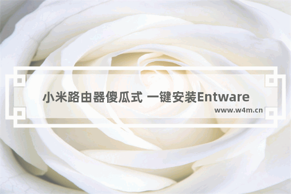 小米路由器傻瓜式 一键安装Entware 安装opkg教程