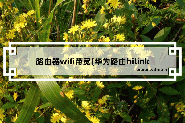 路由器wifi带宽(华为路由hilink组网网速)