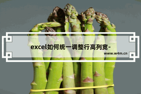 excel如何统一调整行高列宽-