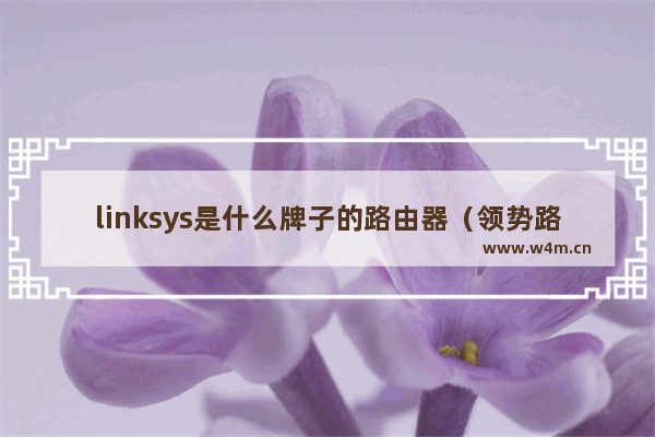 linksys是什么牌子的路由器（领势路由器是什么档次的）