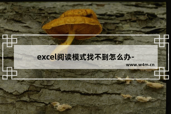 excel阅读模式找不到怎么办-