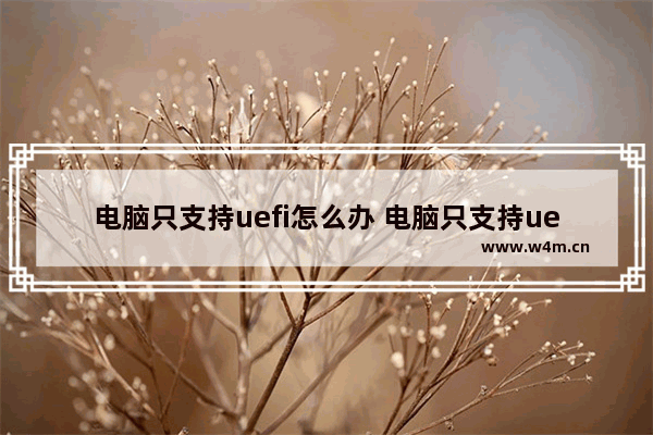 电脑只支持uefi怎么办 电脑只支持uefi启动