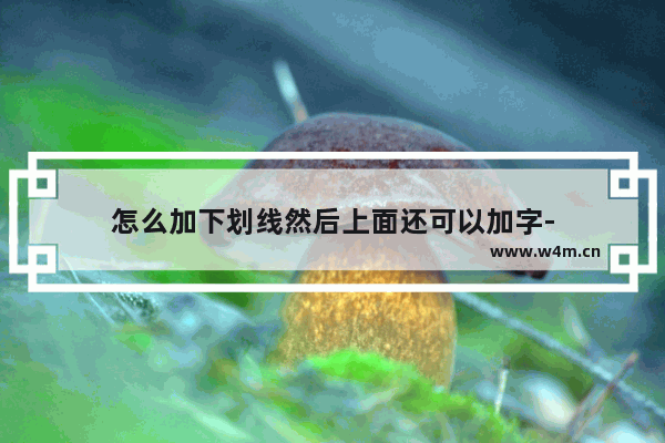 怎么加下划线然后上面还可以加字-