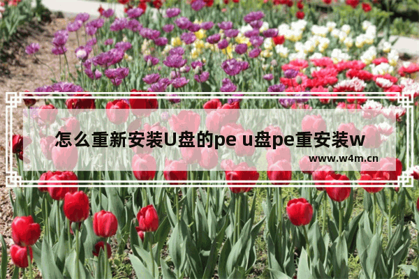 怎么重新安装U盘的pe u盘pe重安装win7系统步骤