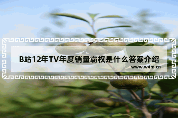 B站12年TV年度销量霸权是什么答案介绍