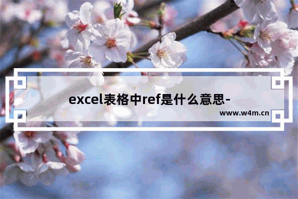 excel表格中ref是什么意思-