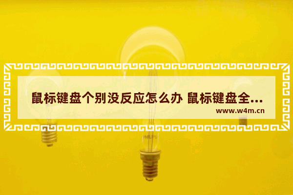 鼠标键盘个别没反应怎么办 鼠标键盘全部没反应