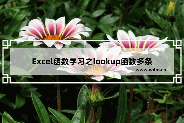 Excel函数学习之lookup函数多条件匹配查找应用-