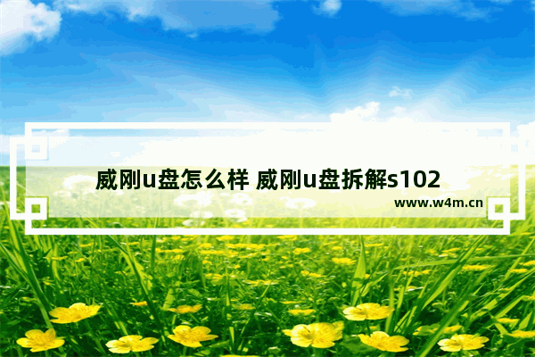 威刚u盘怎么样 威刚u盘拆解s102