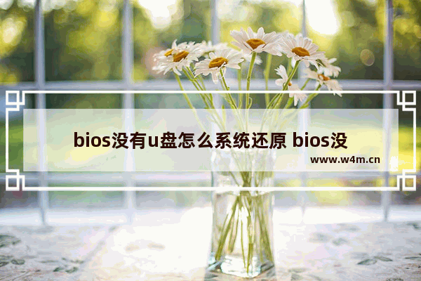 bios没有u盘怎么系统还原 bios没有u盘启动选项怎么办?