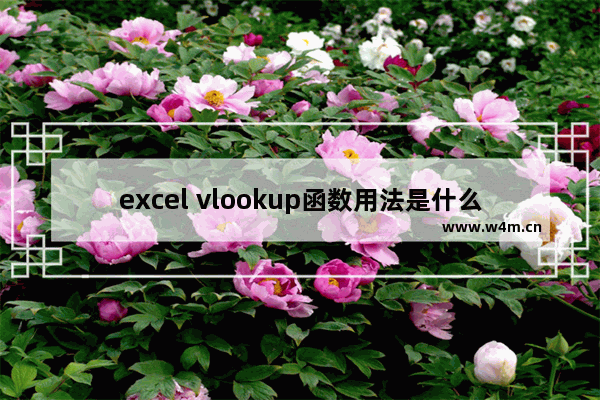 excel vlookup函数用法是什么-