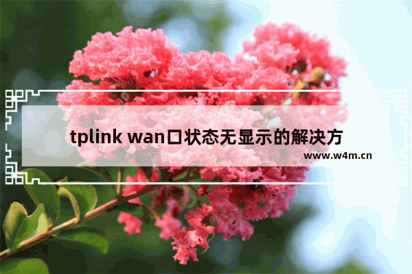 tplink wan口状态无显示的解决方法