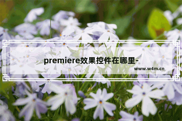 premiere效果控件在哪里-