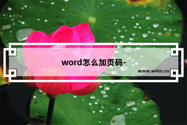 word怎么加页码-