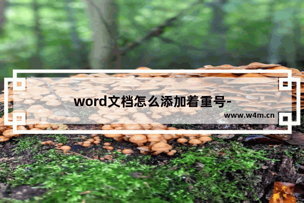 word文档怎么添加着重号-