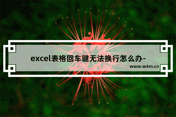 excel表格回车键无法换行怎么办-