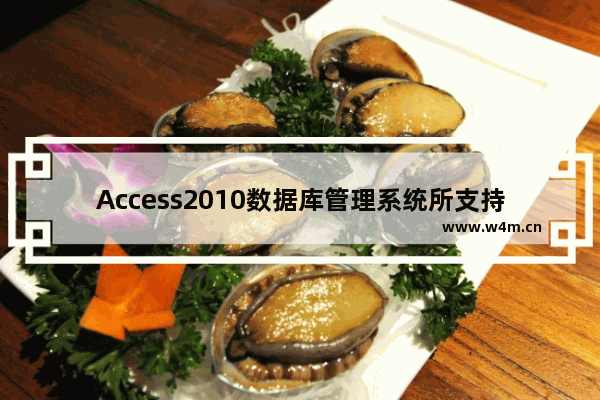 Access2010数据库管理系统所支持的数据模型是什么-