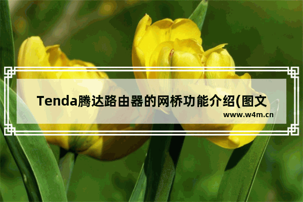 Tenda腾达路由器的网桥功能介绍(图文)