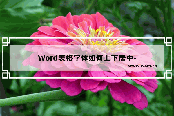 Word表格字体如何上下居中-