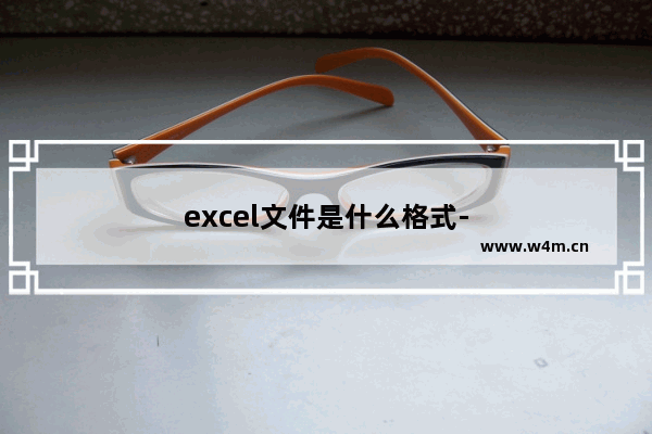 excel文件是什么格式-