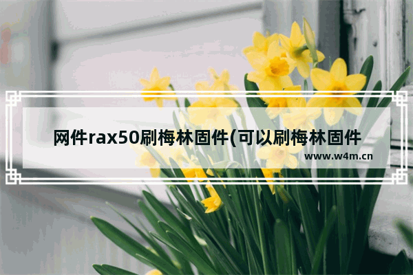 网件rax50刷梅林固件(可以刷梅林固件的路由器)