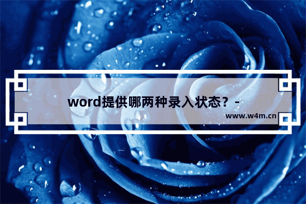 word提供哪两种录入状态？-