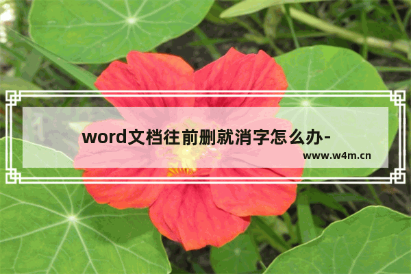 word文档往前删就消字怎么办-