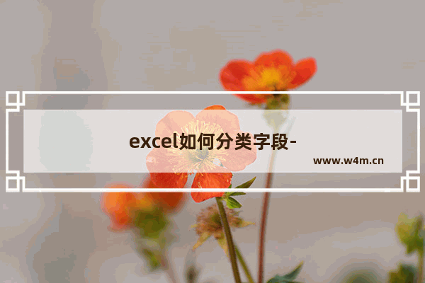 excel如何分类字段-