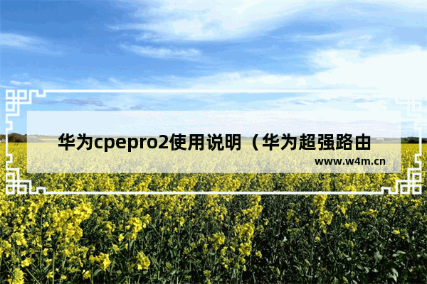 华为cpepro2使用说明（华为超强路由器测评）