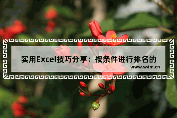 实用Excel技巧分享：按条件进行排名的公式套路-