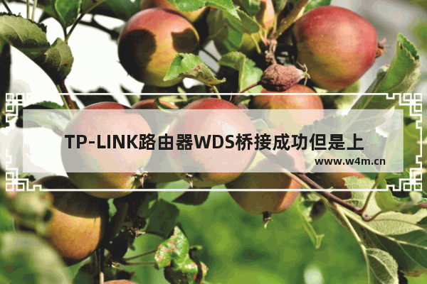 TP-LINK路由器WDS桥接成功但是上不了网怎么办？【图解】