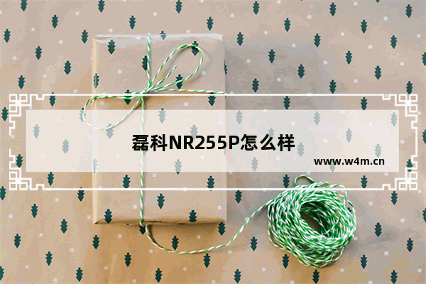 磊科NR255P怎么样