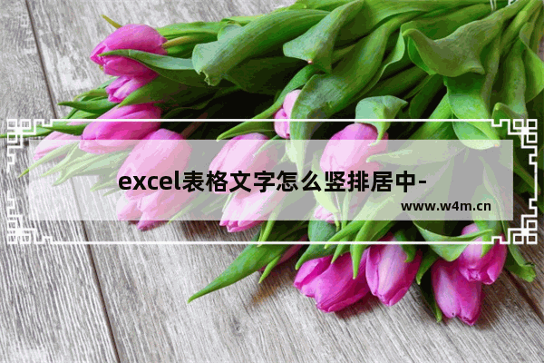 excel表格文字怎么竖排居中-