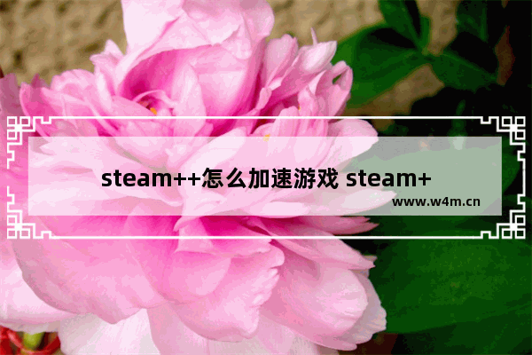 steam++怎么加速游戏 steam++加速游戏图文教程