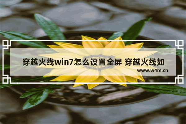 穿越火线win7怎么设置全屏 穿越火线如何调整全屏win7