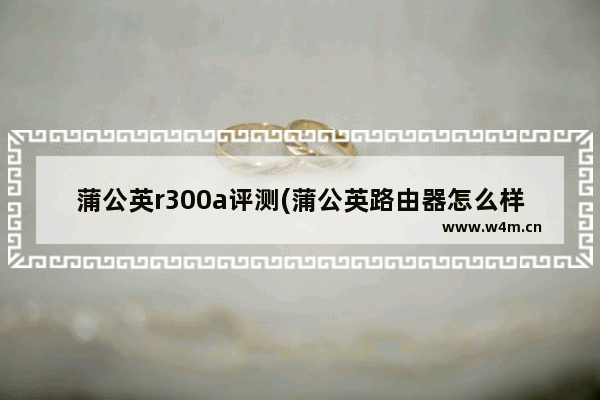 蒲公英r300a评测(蒲公英路由器怎么样)