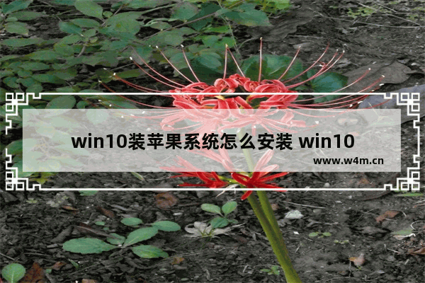 win10装苹果系统怎么安装 win10如何安装苹果系统