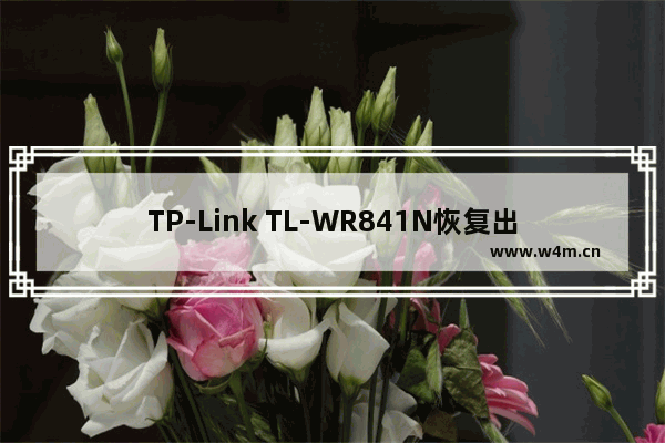 TP-Link TL-WR841N恢复出厂设置步骤