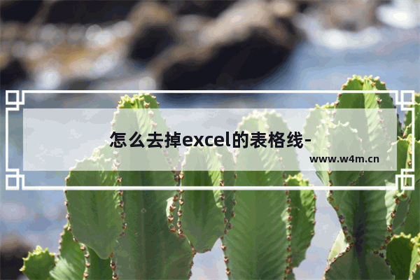 怎么去掉excel的表格线-