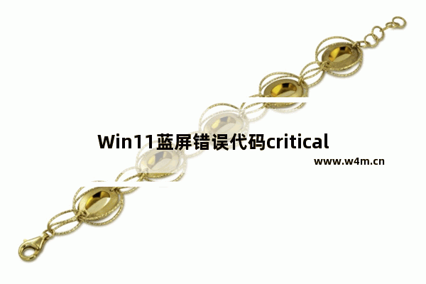 Win11蓝屏错误代码critical