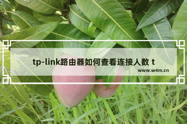 tp-link路由器如何查看连接人数 tp-link路由器查看连接人数方法【步骤】