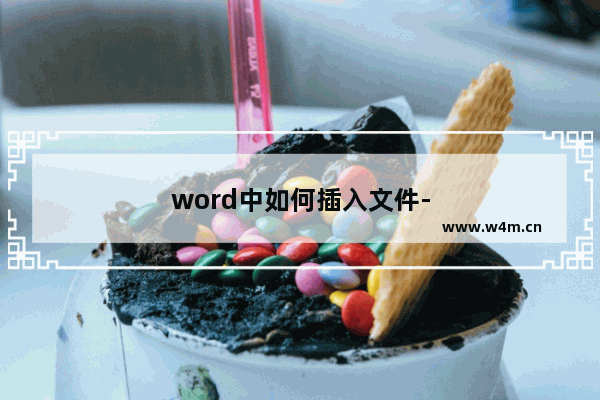 word中如何插入文件-