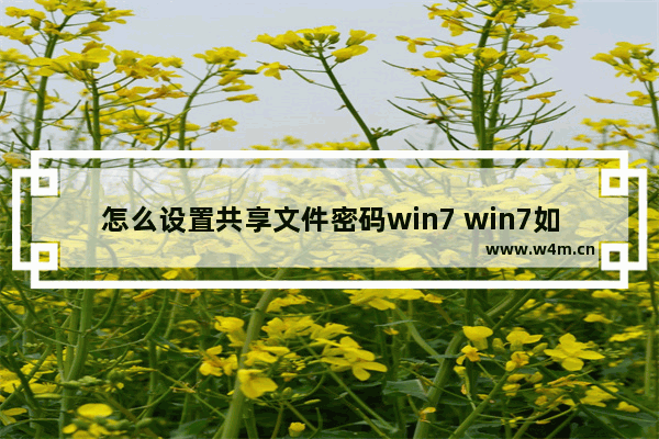 怎么设置共享文件密码win7 win7如何设置共享文件夹如何设置密码