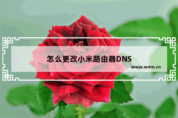 怎么更改小米路由器DNS