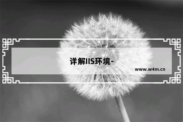 详解IIS环境-