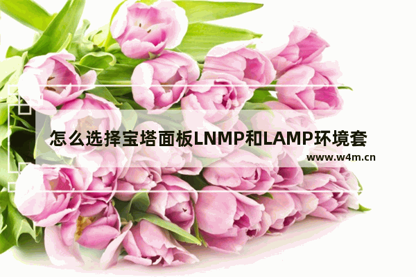 怎么选择宝塔面板LNMP和LAMP环境套件-