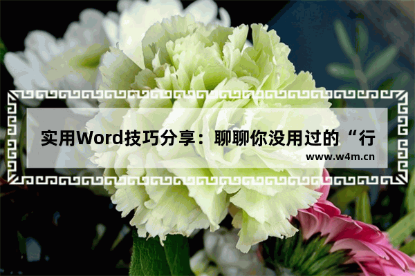 实用Word技巧分享：聊聊你没用过的“行号”功能-